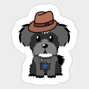 Funny schnauzer is holding a camera Sticker